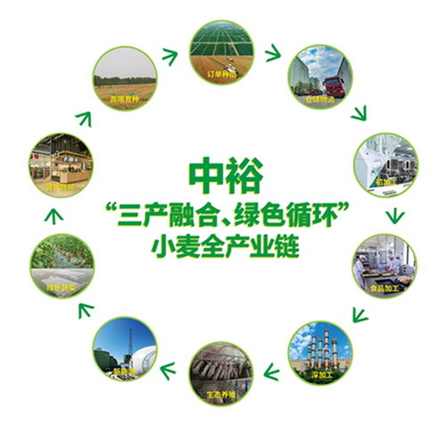 山東濱州 向綠向新，探索餐飲服務(wù)業(yè)高質(zhì)量發(fā)展新路徑